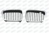 PRASCO BM0182024 Radiator Grille